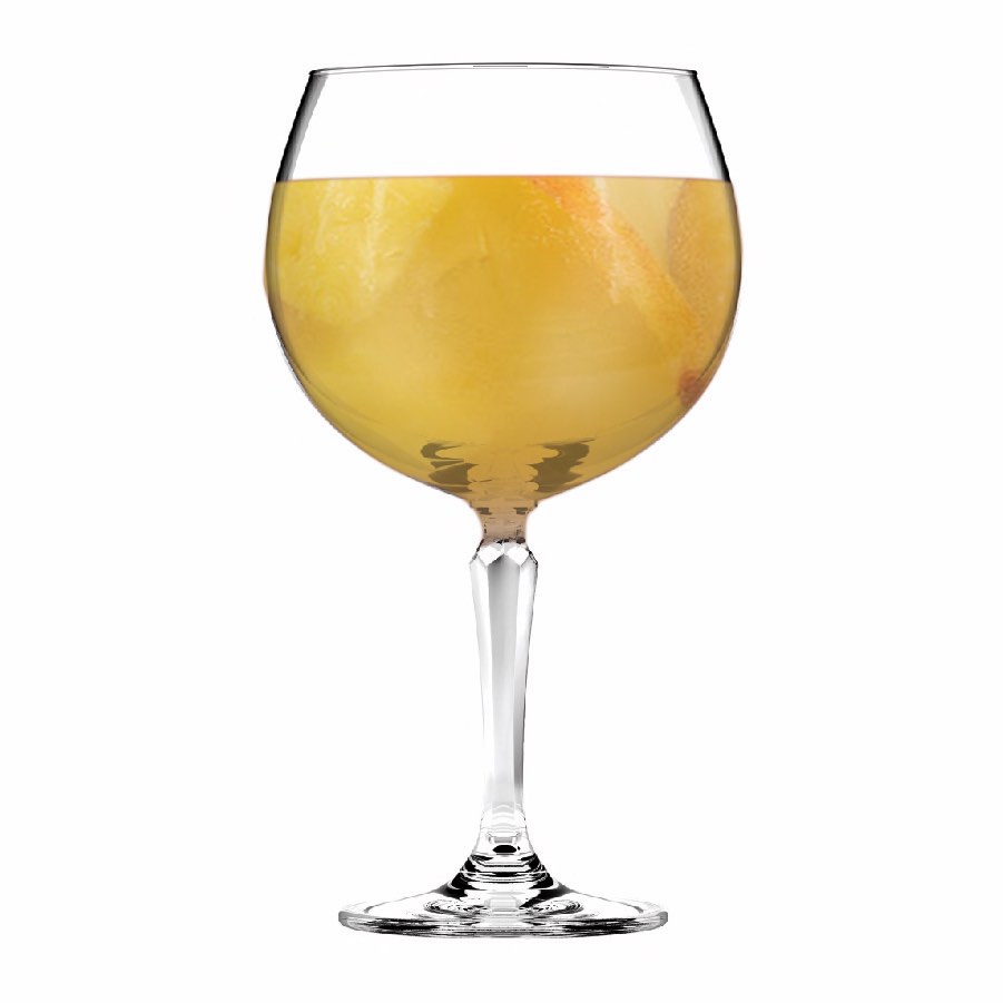 Copa Gin Glasses | Set of 4